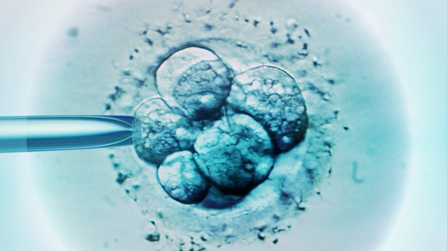 В США доноров спермы заставят платить алименты