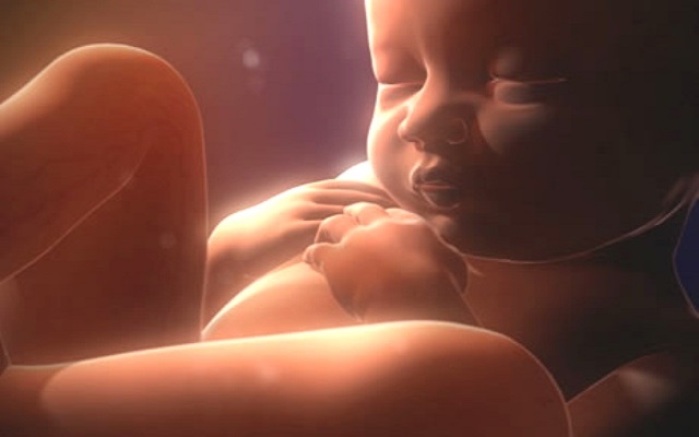 Ученые узнали, для чего малыши в утробе строят рожицы