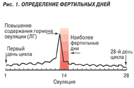Что должна сделать беременная женщина 81