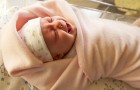 Малыш познает мир Малыш познает мир