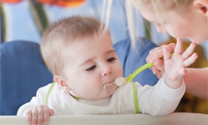 Вычислить уже во время прикорма