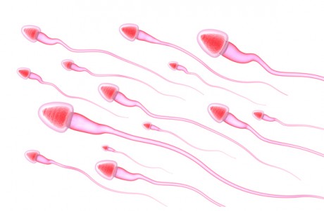 Особенности спермы