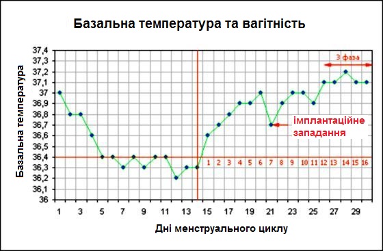 график базальной температуры при беременности