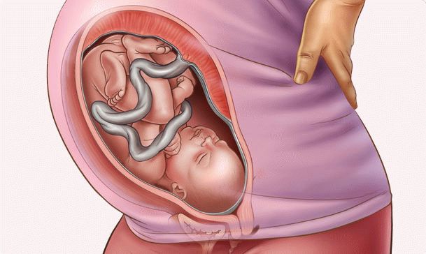 Роды на 35 неделе беременности еще не желательны - малыш будет доношен через 1 - 2 недели