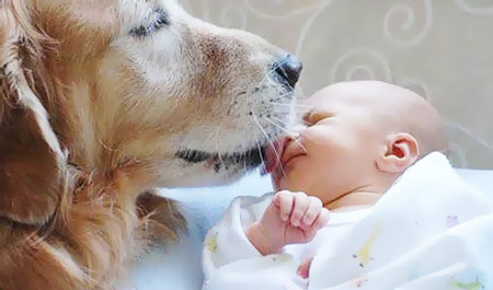 Влияют ли домашние животные на здоровье новорожденного
