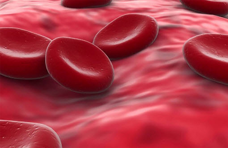 Анализ крови на уровень гемоглобина